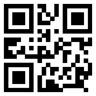 Il Qr Code di 3918607253