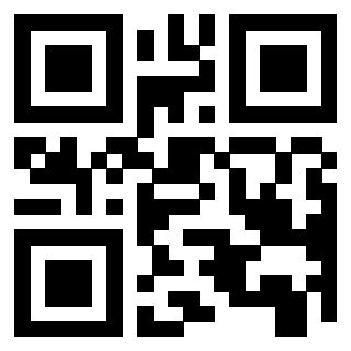 3918607333 QrCode associato