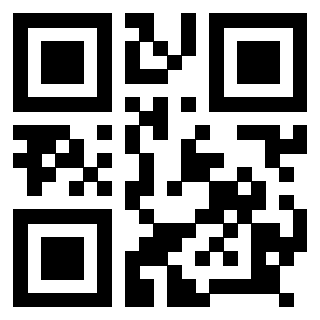 Il Qr Code di 3918613324