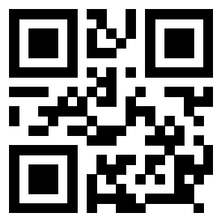 3918613373 QrCode associato