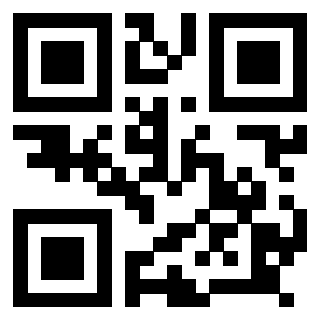 3918613381 QrCode associato