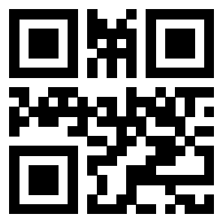Il Qr Code di 3918613659