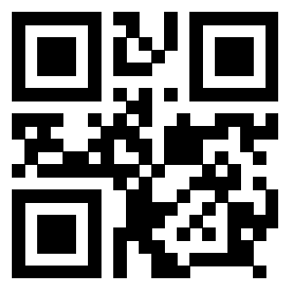 Il Qr Code di 3918613840