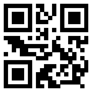 Il Qr Code di 3918613983