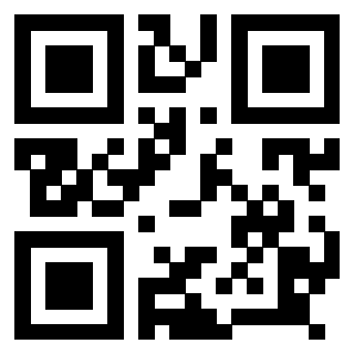 Il Qr Code di 3918613996