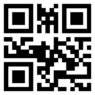 Il Qr Code di 3918614028