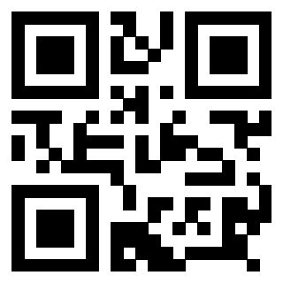 Il Qr Code di 3918641313