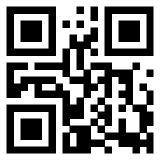 Il Qr Code di 3918663861