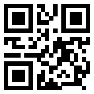 Il Qr Code di 3918663878