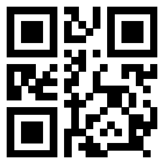 Il Qr Code di 3918663900