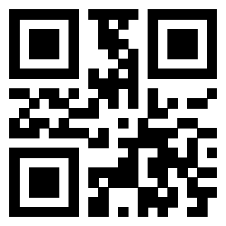 Il Qr Code di 3918664022