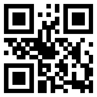 Il Qr Code di 3918664023