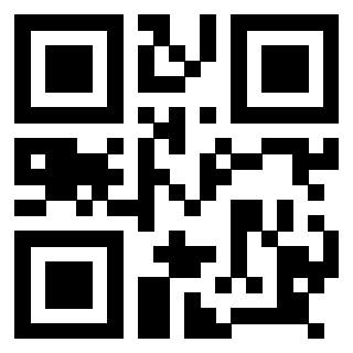 Il Qr Code di 3918664217