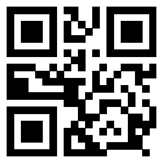 Il Qr Code di 3918666048