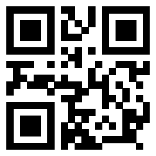 Il Qr Code di 3918666056