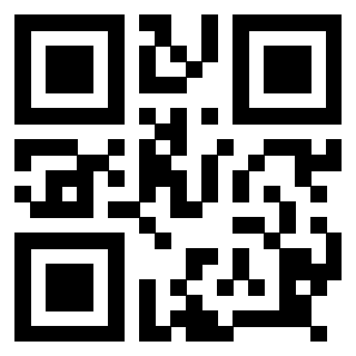 Il Qr Code di 3918666063