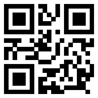 Il Qr Code di 3918666065