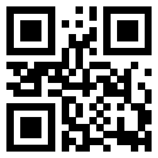 3918666110 QrCode associato