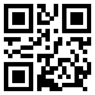 Il Qr Code di 3918666159