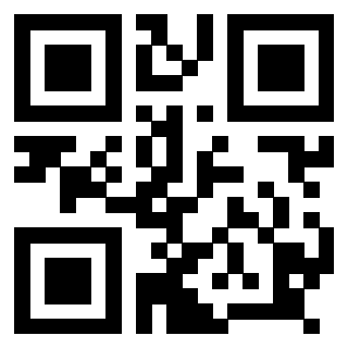 Il Qr Code di 3918666341