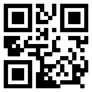 Il Qr Code di 3918666391