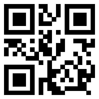 Il Qr Code di 3918666461