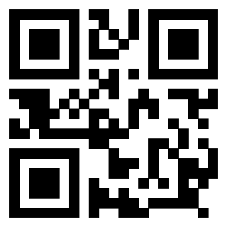 Il Qr Code di 3918666517