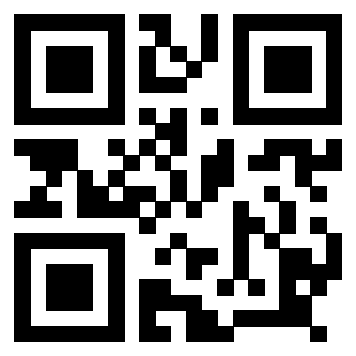 Il Qr Code di 3918666707