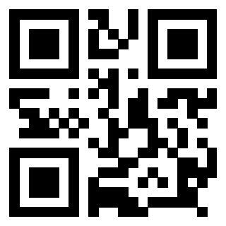 Il Qr Code di 3918666724