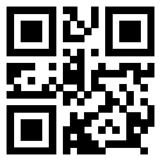 3918666894 Qr Code associato