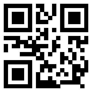 Il Qr Code di 3918666966