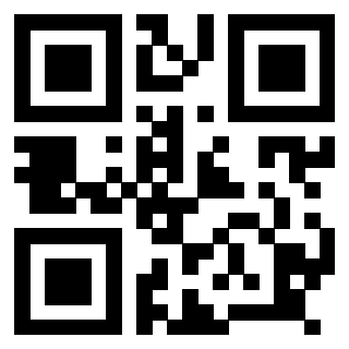 Il Qr Code di 3918666971