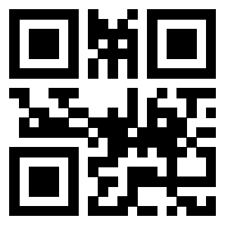 Il Qr Code di 3918772172