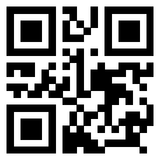 Il Qr Code di 3918794855
