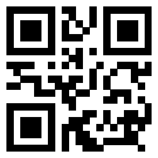 Il Qr Code di 3918795063