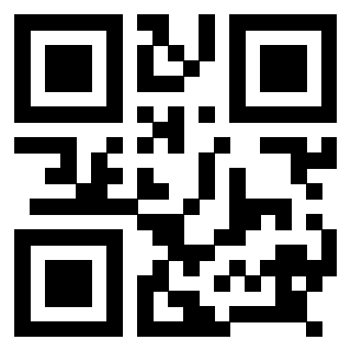 Il Qr Code di 3918795304