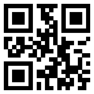 Il Qr Code di 3918795379