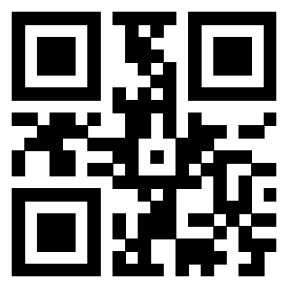 Il Qr Code di 3918826383