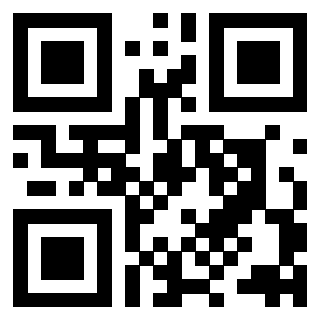 Il Qr Code di 3918826609