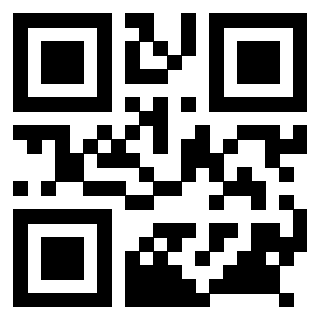 Il Qr Code di 3918831113