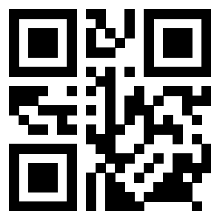 Il Qr Code di 3918831120