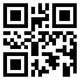 Il Qr Code di 3918832033