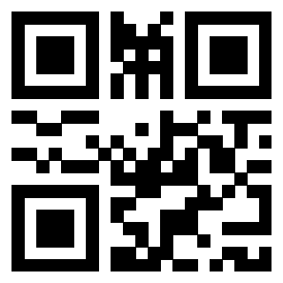 Il Qr Code di 3918832041