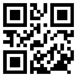 Il Qr Code di 3918864025