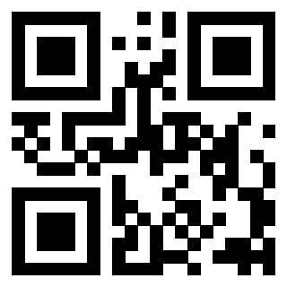Il Qr Code di 3918873095