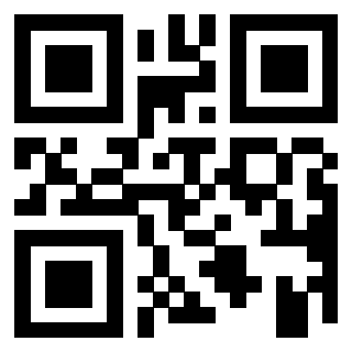 Il Qr Code di 3918873529