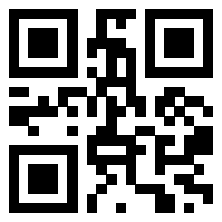 Il Qr Code di 3918873573