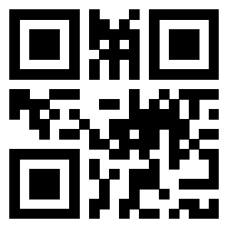 Il Qr Code di 3918880733
