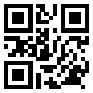 Il Qr Code di 3918900079