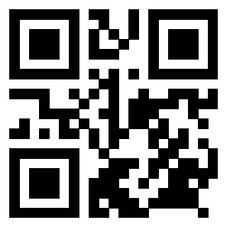 Il Qr Code di 3918929813